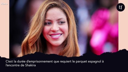 "Je reste confiante" : Shakira risque huit ans de prison pour fraude fiscale