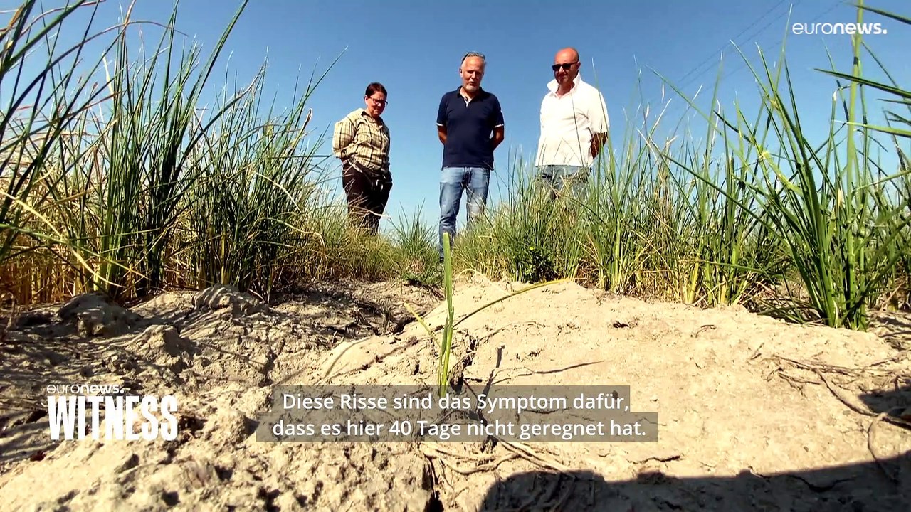 Anhaltende Dürre in Norditalien: Wie meistert das die Bevölkerung?