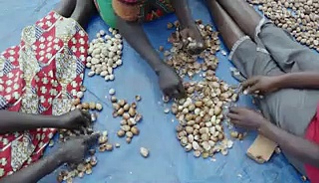 East African shea butter is more expensive than the common West African kind. Here's why.