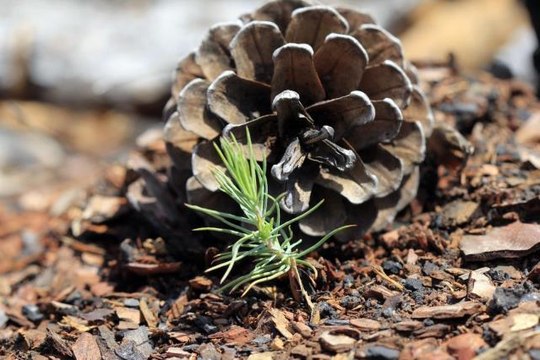 Muğla #kategori haberleri#... Muğla büyük orman yangınının 1'inci yılı