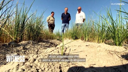 Risaie senza una goccia e pesca in crisi. I danni della siccità in Italia