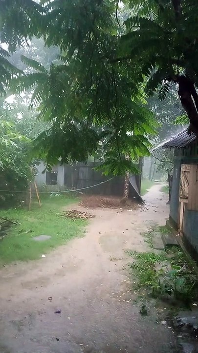 Rain Futeg