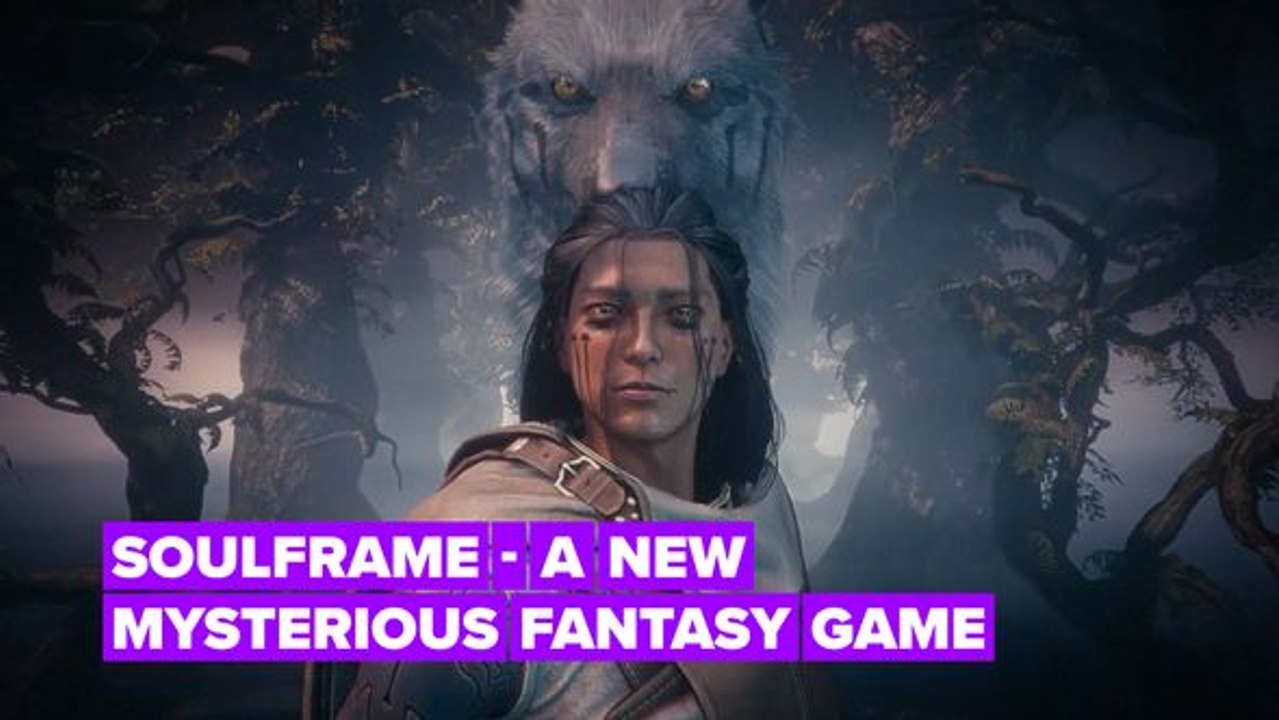 Soulframe is the new mirror universe of Warframe