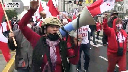 "Démissionne, corrompu !" manifestation contre le Premier ministre péruvien Pedro Castillo