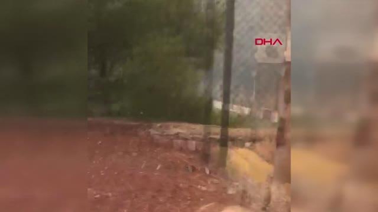 Son dakika gündem: MARMARİS İÇMELER YANGININA VATANDAŞLAR DA MÜDAHALE EDİYOR - 2