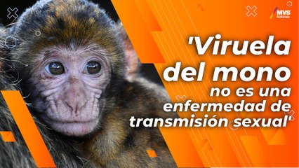 ¿Se estigmatiza con la viruela del mono a la población homosexual?