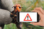 Contre le frelon asiatique ou une autre espèce invasive, votre smartphone suffit