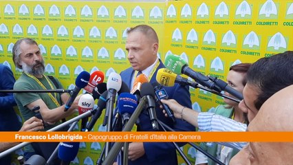 Lollobrigida "Nessun imbarazzo ma chiarire questione internazionale"