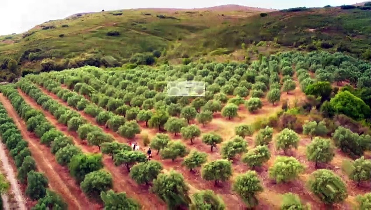 Demain nous appartient : la bande-annonce des épisodes du 25 au 29 juillet 2022