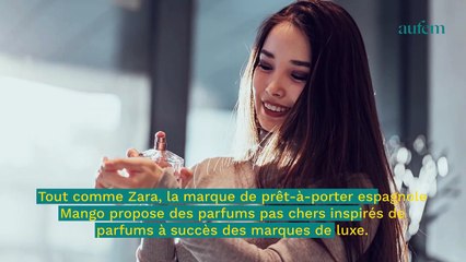 Descargar video: 3 dupes de parfums de luxe à trouver chez Mango