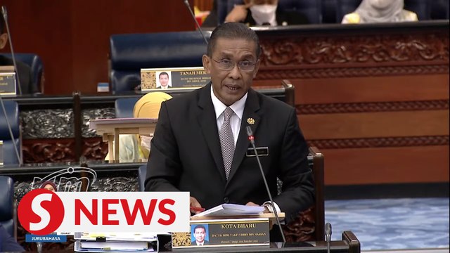 Takiyuddin: Musang King durians planted on Gunung Inas despite not being forest plantation species