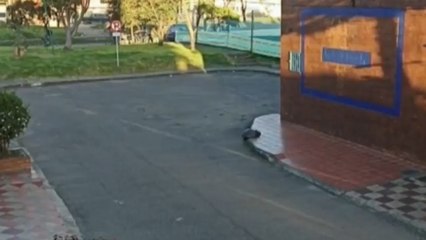 Sin piedad: delincuentes robaron con arma de fuego a hombre que iba en compañía de su hija