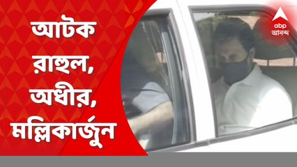 Congress: রাহুল গাঁধী, অধীর চৌধুরী, মল্লিকার্জুন খাড়গে-সহ কংগ্রেসের বেশ কয়েকজন শীর্ষ নেতাকে আটক করেছে পুলিশ। Bangla News