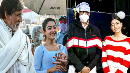 Rashmika Mandanna Reffered Goodbye Co-star Amitabh Bachchan Absolute Doll