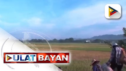 Download Video: Pres. Marcos Jr., tiniyak ang suporta sa mga magsasaka upang mapataas ang food production sa bansa