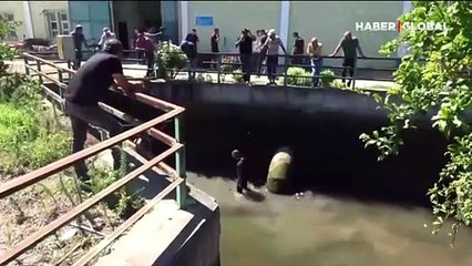 Oğlunu kurtarmak isterken canından oldu