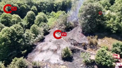 Beykoz'da orman yangını!