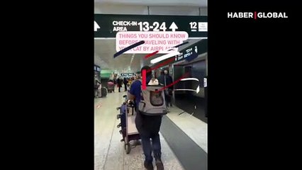 Sırtında üç kedisi ile dünyayı gezen avukat viral oldu