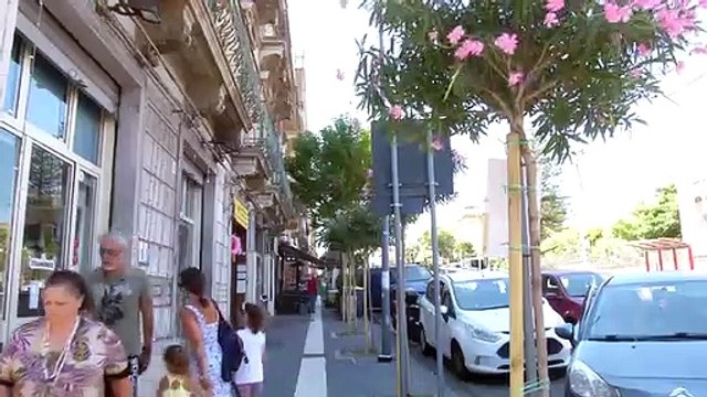 MESSINA, 250 SUPPORTO PER SALVARE GLI ALBERI IN CENTRO CITTÁ