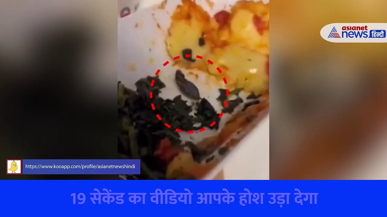 वेज खाने के पैकेट में निकला सांप का कटा सिर... उड़ते विमान से सामने आया Shocking Video