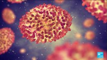 Symptômes, diagnostic, traitements...tout ce qu'il faut savoir sur la variole du singe