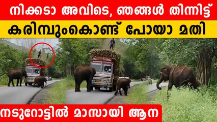 കരിമ്പ് തരാതെ പോകാന്‍ പറ്റില്ല,ലോറി തടയുന്ന ആനകളെ കണ്ടോ | * Trending