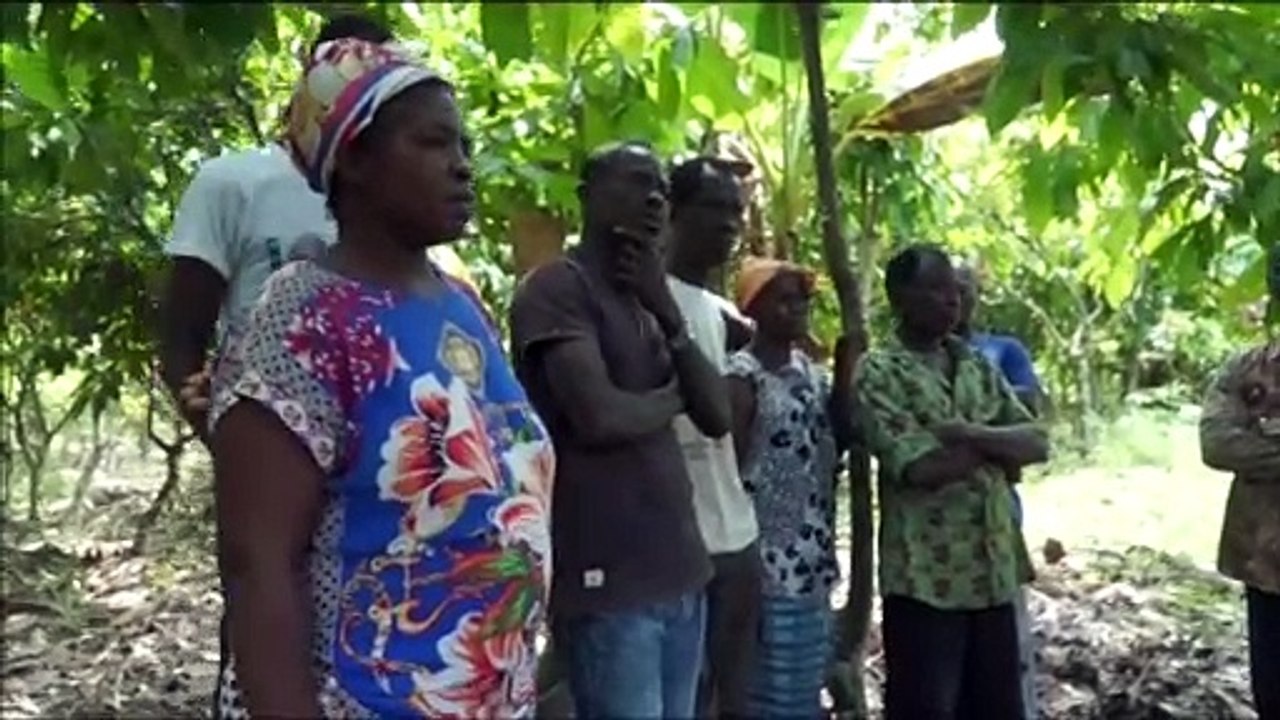 Conseil café cacao : le conseil d’administration fait le point dans les régions productrices