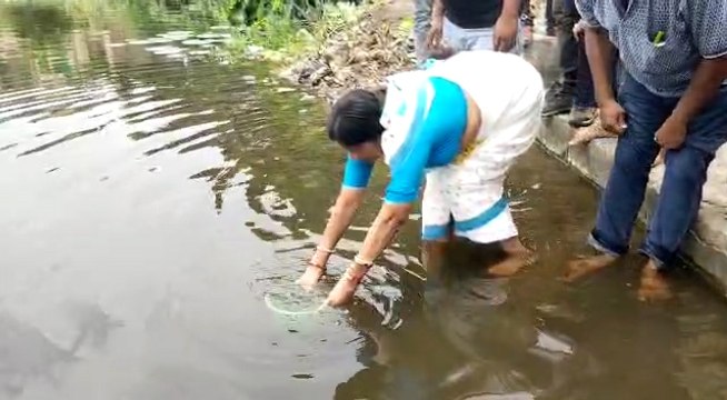 ডেঙ্গু রুখতে জলাশয় ও নালায় মশার লার্ভা খাদক গাপ্পি মাছ ছাড়ল বাঁকুড়া পৌরসভা | Oneindia Bengali