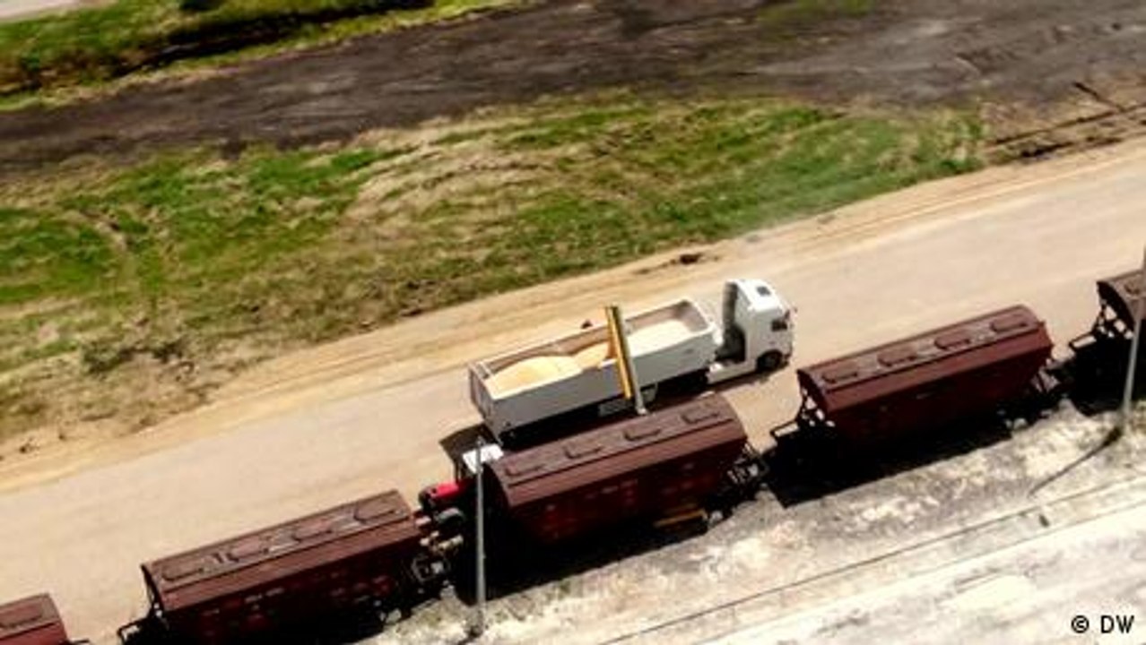 Lieferchaos bei ukrainischem Weizen