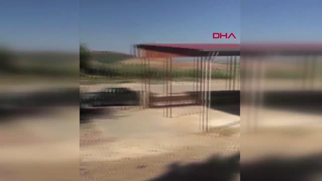 Son dakika haber! HATAY'DA 5 YAVRU KÖPEK ZEHİRLENEREK ÖLDÜRÜLDÜ