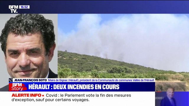 Incendies dans l'Hérault: Aujourd'hui, la catastrophe, ce sont 600 hectares qui ont déjà brûlé , affirme le maire de Gignac