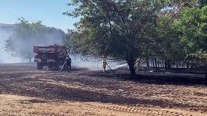 Buğday tarlası ve ormanlık alanda çıkan yangın söndürüldü