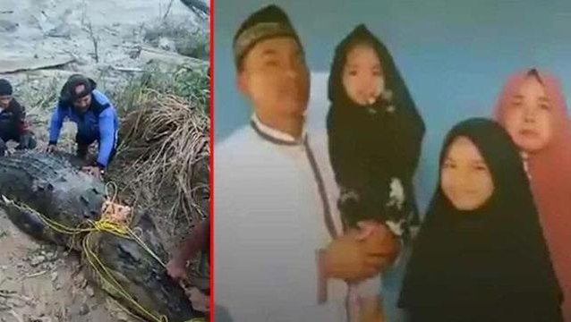 Adamı canlı canlı yutan timsahın midesi açıldı, içi boş çıkınca herkes hayrete düştü