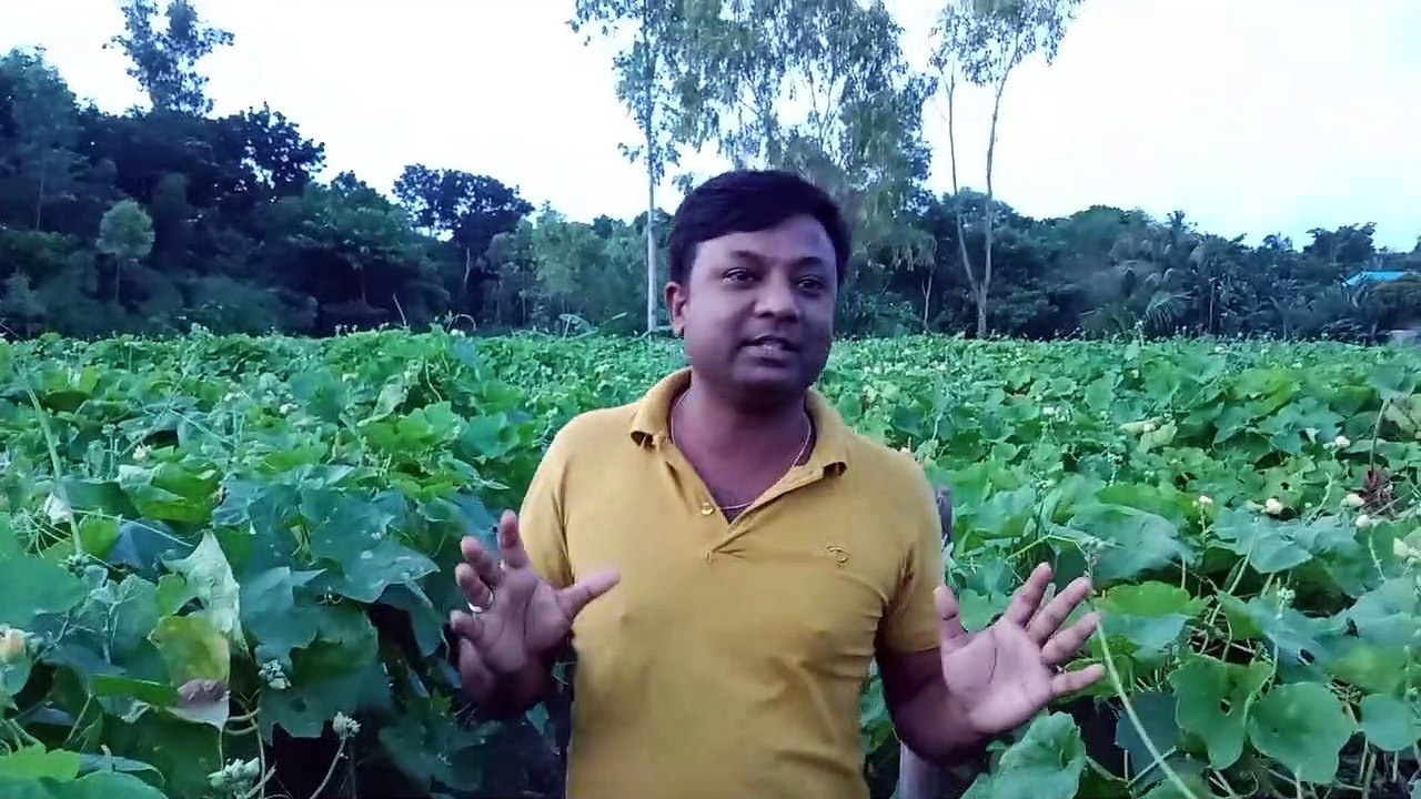 At Dhundol Field