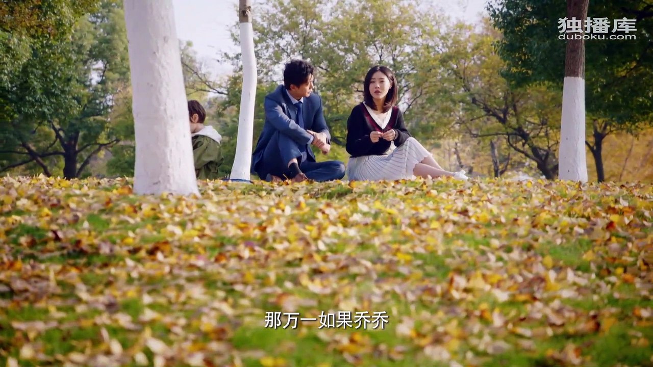 匆匆的青春_第31集