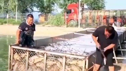 Satisfying...............ASMR That Makes You Calm Original Satisfying Videos PART -