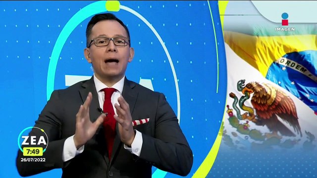 ¿Para qué sirven los manglares?