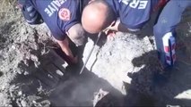 Son dakika haberleri... Erzincan'da mahsur kalan köpekler, itfaiye ekiplerince kurtarıldı