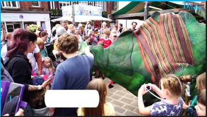 Chesterfield medieval fun day