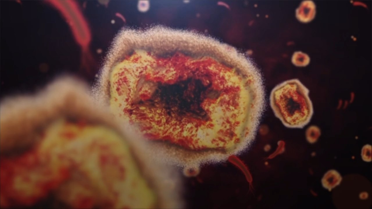 La variole du singe se répand au-delà des communautés spécifiques, selon l'OMS