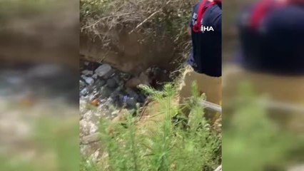 Su kuyusuna düşen 2 köpek böyle kurtarıldı