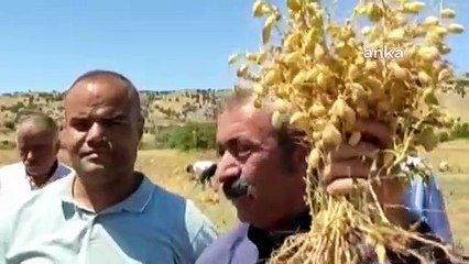 Tunceli Belediye Başkanı Maçoğlu: Herkes topraklarına sahip çıksın; bizi kurtaracak kendi ellerimizdir