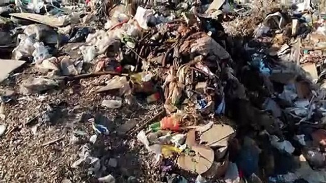 Tesouro em dólares é encontrado em lixão na Argentina