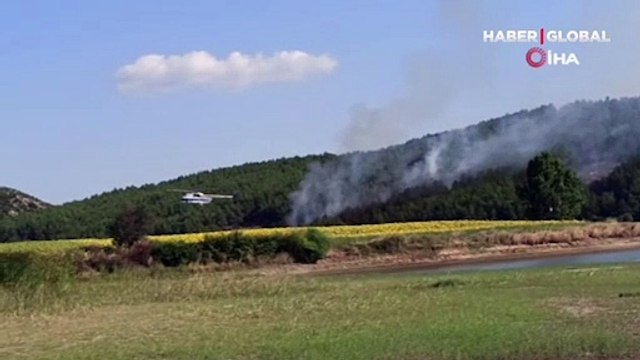 Edirne'nin Keşan ilçesinde ormanlık alanda yangın çıktı