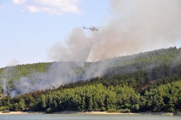 Son dakika haber | EDİRNE'DE ÇIKAN ORMAN YANGINI SÖNDÜRÜLDÜ