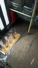Water rushing into bus..!! Delhi rain..!!