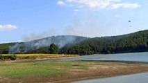Son dakika haberleri | Keşan'da ormanlık alanda yangın çıktı