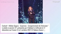 Hélène Ségara clashée sur son physique : 