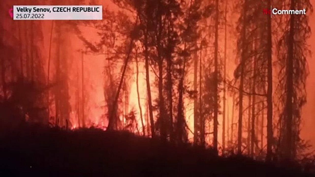 Tschechien: Waldbrand in der Böhmischen Schweiz