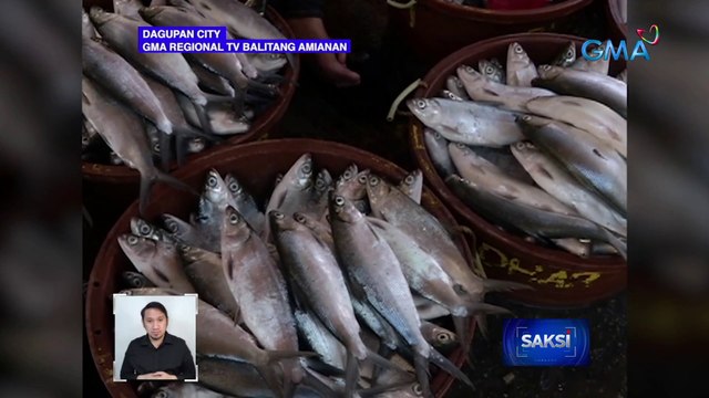 Presyo ng bangus sa Dagupan City, ilang araw nang mataas dahil sa kakaunting supply | Saksi